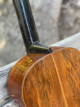 Load image into Gallery viewer, Brazilian Rosewood Parlor Guitar

